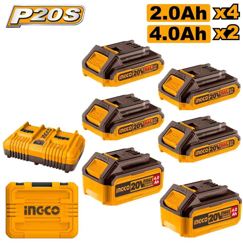 P20S Lithium-Ion battery and charger kit