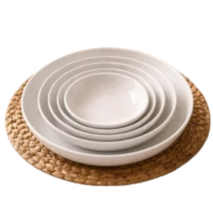 Ensemble 5 Assiettes de table Incassable